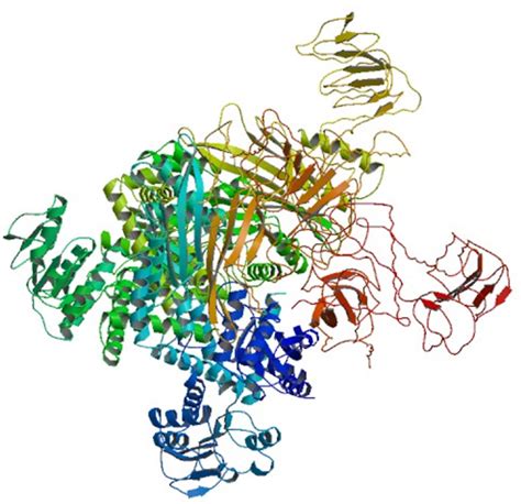 Enzyme Activity Measurement for Glutamate Dehydrogenase