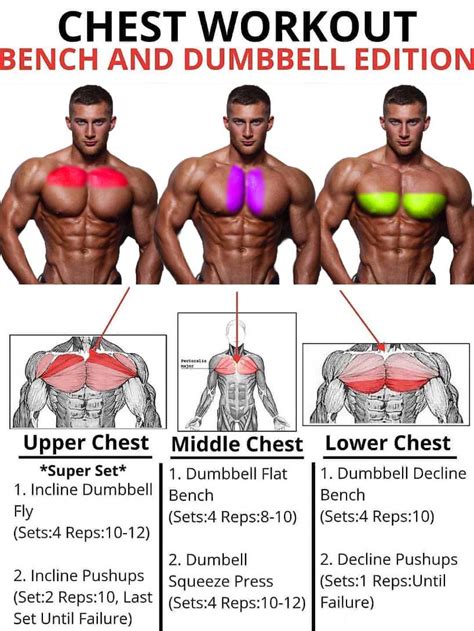 How to Do Chest Exercises, Chest Programs, Benefits, Tips