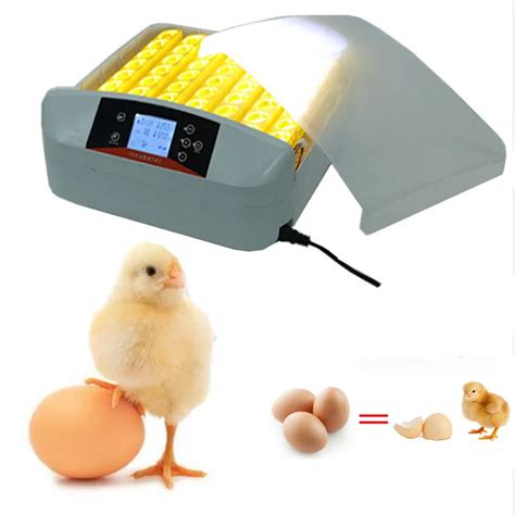 Mini home use multifunctional eggs hatchers farm chicken egg incubator ...