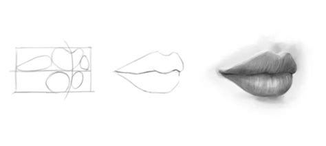 How To Draw Realistic Lips In 7 Simple Steps - Udemy Blog