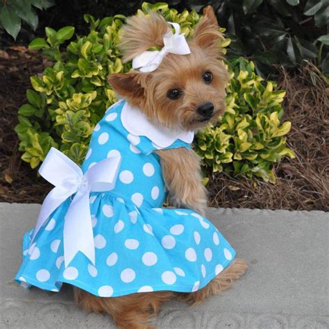 Small Dog Clothes for Girl Dogs | DinkyDogClub