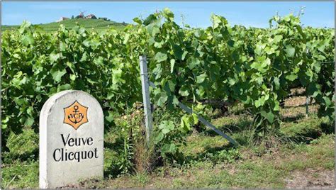 Veuve Clicquot | History of the Legendary Winemaker