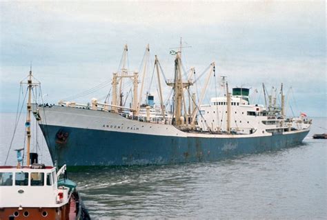 Merchant navy, Ship tracker, Passenger ship