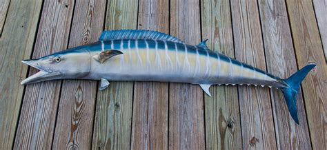 Wahoo 62 inch half mount fiberglass fish replica - The Fish Mount Store