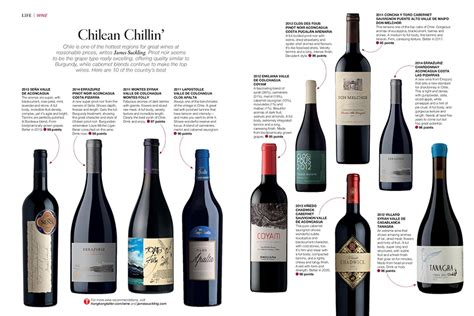 Top 10 Wines From Chile