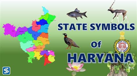 State Symbols of Haryana | Haryana Symbols | Animal, Bird, Tree, Flower ...