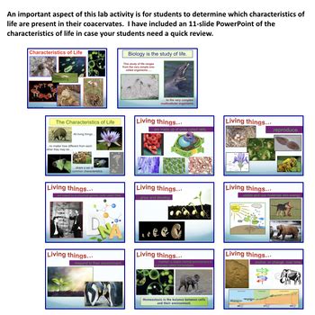 Making Coacervates Origin of Life Lab by Amy Brown Science | TPT