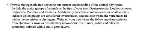 SOLVED: 4. Draw a phylogenetic tree depicting our current understanding ...