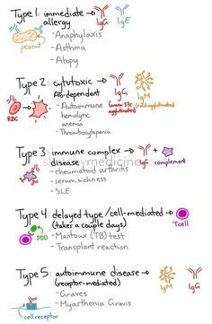 17 Gorgeous Immunology Diagrams ideas | immunology, medical laboratory, medical laboratory science