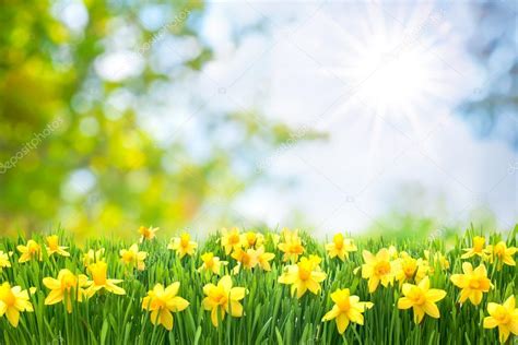 Spring Easter background — Stock Photo © alexraths #100239038