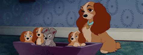 *LADY and her PUPPIES ~ Lady and the Tramp, 1955 | Disney favorites ...