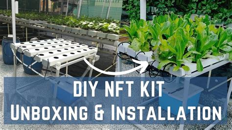 DIY NFT System - How to Start a Hydroponics setup at home - YouTube