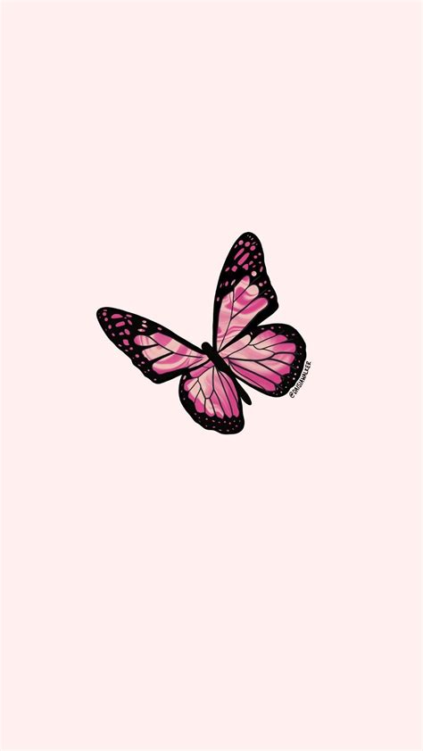 Bộ sưu tập 500+ Background pink butterfly đẹp nhất và miễn phí