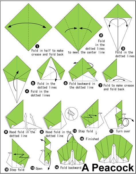 Peacock - Easy Origami instructions For Kids