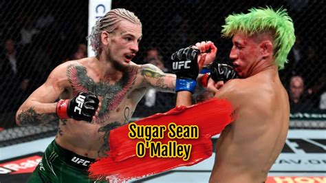 Sugar Sean O'Malley Best Knockouts / Highlights - “Soldier” - YouTube