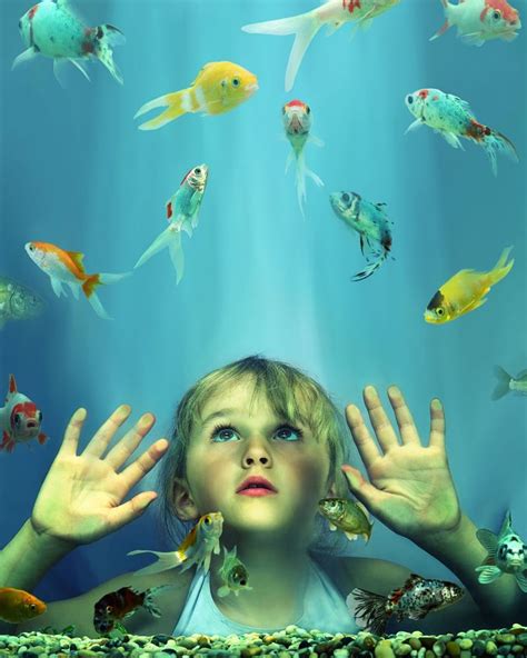 Girl (4-6) looking at fish in tank, hands pressed against glass School Field Trip, Virtual Field ...