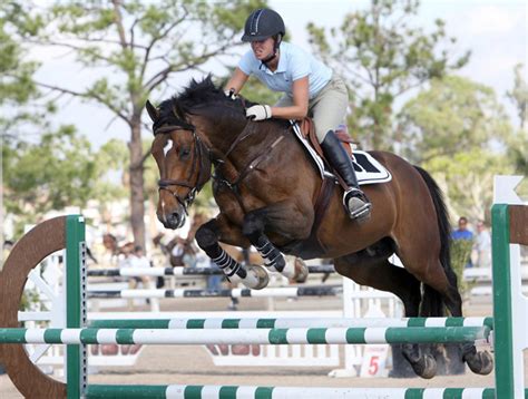 Equestrian Events at the Olympic Games