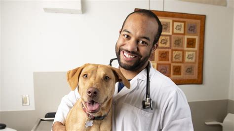 How to Create a Successful Veterinary Practice | School of Veterinary ...