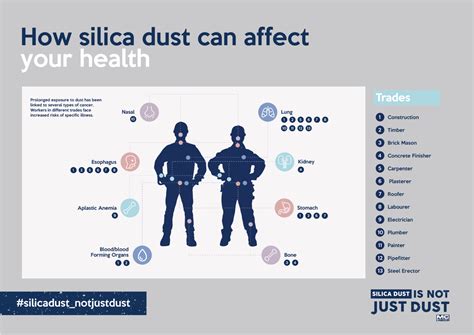 MC LABOUR SERVICES | Silica dust is not just dust