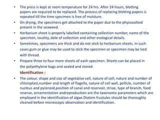 HERBARIUM TECHNIQUES.pptx