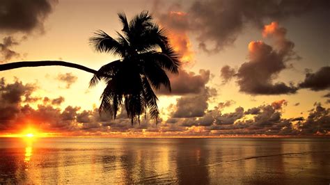 Hawaii, Beach, Sunset, Landscape, Clouds, Nature, Photography, Palm Trees Wallpapers HD ...