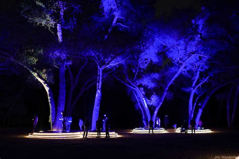 Descanso Gardens' Enchanted: Forest of Light - Jaz Wanderlust