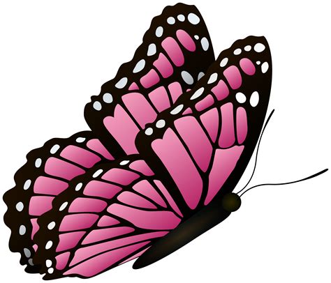 Butterfly Pink Clipart Transparent PNG - Useful search for cliparts