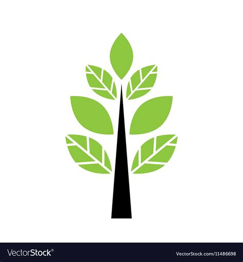 Stylized tree Royalty Free Vector Image - VectorStock