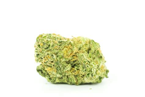 King Kong Strain of Marijuana | Weed | Cannabis | Herb | Herb