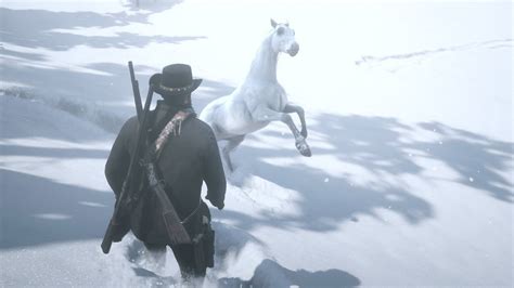 White Arabian Horse Rdr2 Location - Patched No Longer Works White ...