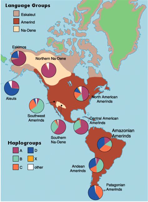 Found this map showing Native American haplogroup frequency in the Americas and thought it ...