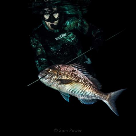 Wettie Spearfishing & Wetsuits - Home | Facebook