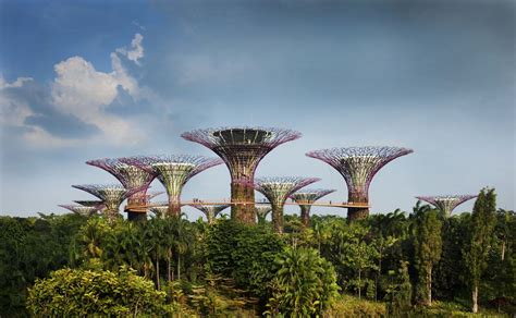 Supertrees, Gardens by the Bay | Grant Associates