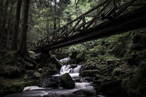 A Micro-Trip To The Black Forest (Schwarzwald), Germany - HIP Edit ...