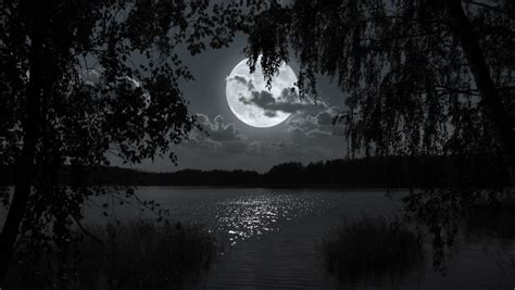 Moon Over The Lake At Night. Video Footage Of Bright Moon Over A Lake ...