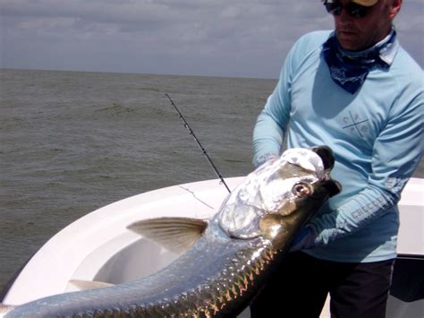 3-day Costa Rica Tarpon Fishing Trip for One Angler