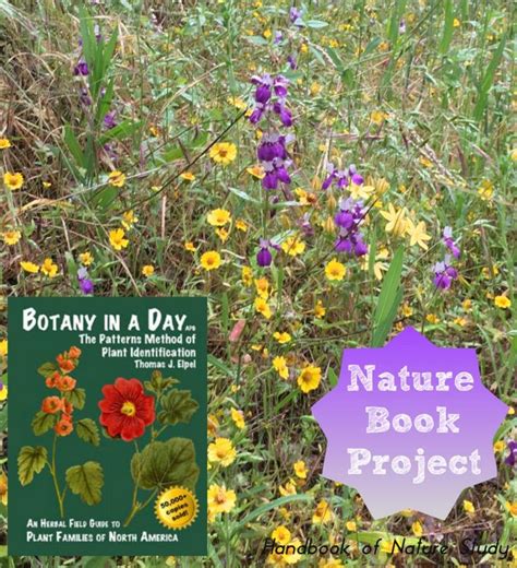 Botany in a Day Review Nature Book Project @handbookofnaturestudy ...