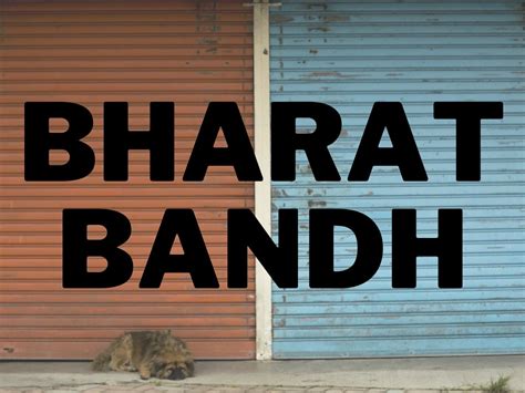 Bharat Bandh Amid Farmers Protest: Check Full List Of What's Open, What's Closed