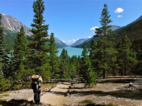 Chilkoot Trail Hiking in Alaska 2025 - Rove.me