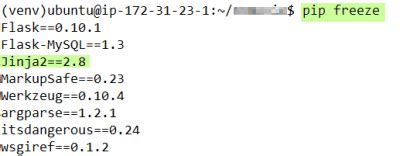 Python Flask - how to know which version of Jinja is used?