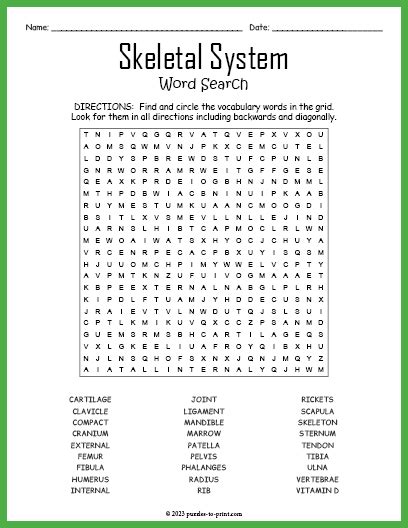 Skeletal System Word Search