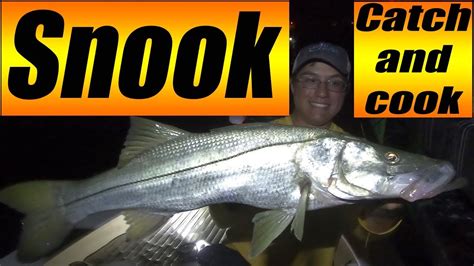 SNOOK Catch and Cook!! How to cook a SNOOK to Perfection!! - YouTube