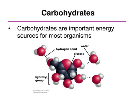 PPT - Molecules of Life – Biomolecules PowerPoint Presentation, free download - ID:2143076