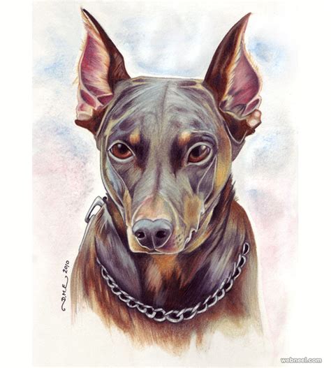 30 Beautiful Dog Drawings and Art works from top artists