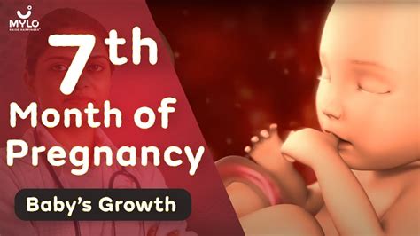 7 Month Pregnancy Baby Growth | 7 Month Pregnancy Baby Movement | 7 ...