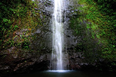 Manoa Falls Photograph by Wandering Roots - Fine Art America