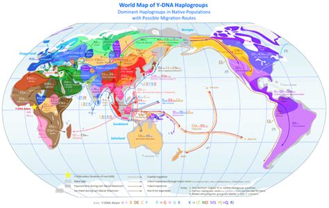 Map, Human migration, Prehistory