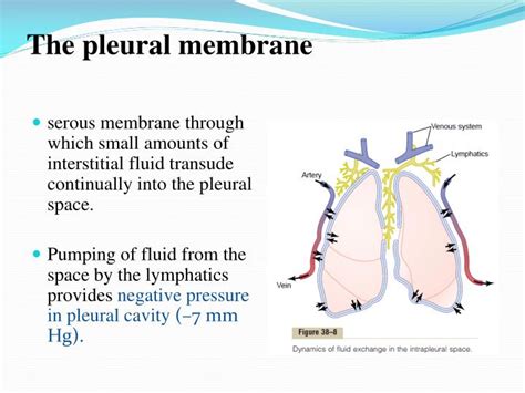 PPT - Chapter: 38 Pulmonary Circulation, Pulmonary Edema, Pleural Fluid ...