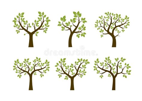 Set of Summer Trees. Vector Illustration. Stock Vector - Illustration ...