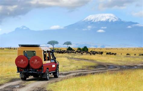 Ol Tukai Lodge Amboseli - Msafiri